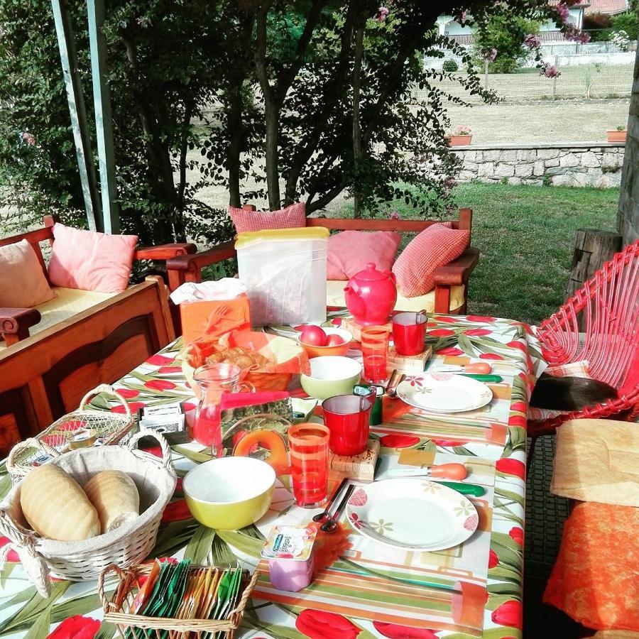 B&B Il Tempo Del Sogno Con Cani E Gatti Pet&Breakfast Baveno Exteriör bild