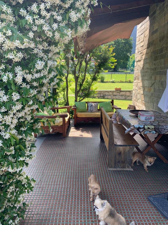 B&B Il Tempo Del Sogno Con Cani E Gatti Pet&Breakfast Baveno Exteriör bild
