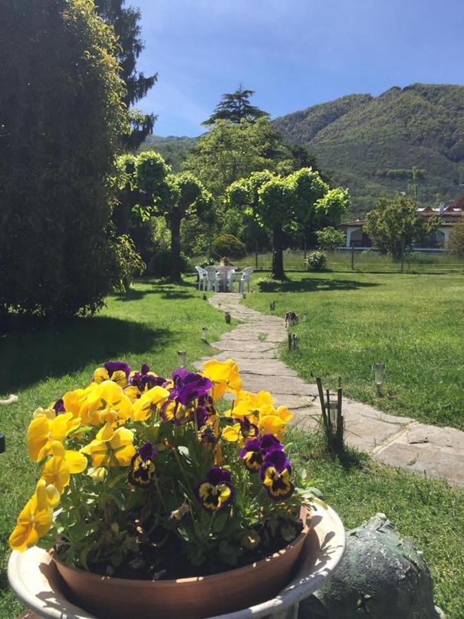 B&B Il Tempo Del Sogno Con Cani E Gatti Pet&Breakfast Baveno Exteriör bild